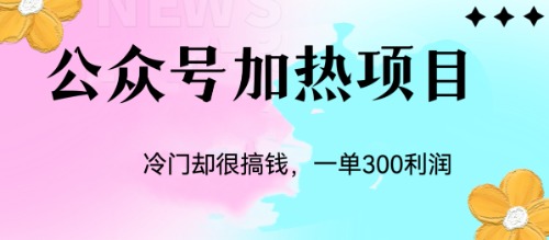 冷门公众号加热项目，一单利润300+-117资源网