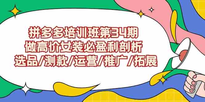 （9333期）拼多多培训班第34期：做高价女装必盈利剖析  选品/测款/运营/推广/拓展-117资源网