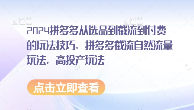 2024拼多多从选品到截流到付费的玩法技巧，拼多多截流自然流量玩法，高投产玩法-117资源网