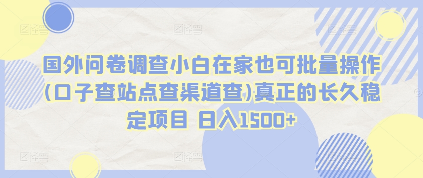 国外问卷调查小白在家也可批量操作(口子查站点查渠道查)真正的长久稳定项目 日入1500+-117资源网