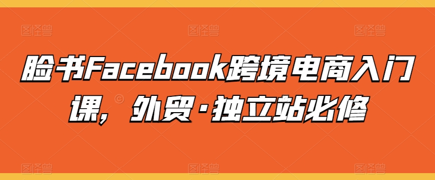 脸书Facebook跨境电商入门课，外贸·独立站必修-117资源网