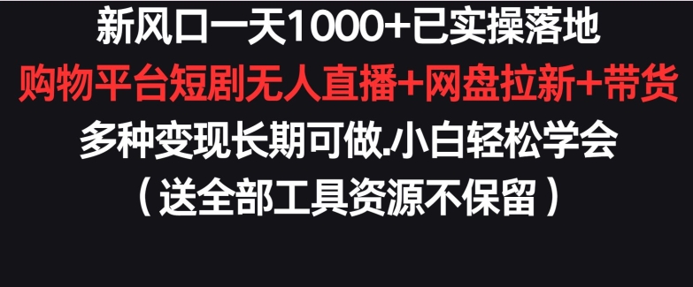 新风口一天1000+已实操落地购物平台短剧无人直播+网盘拉新+带货多种变现长期可做-117资源网