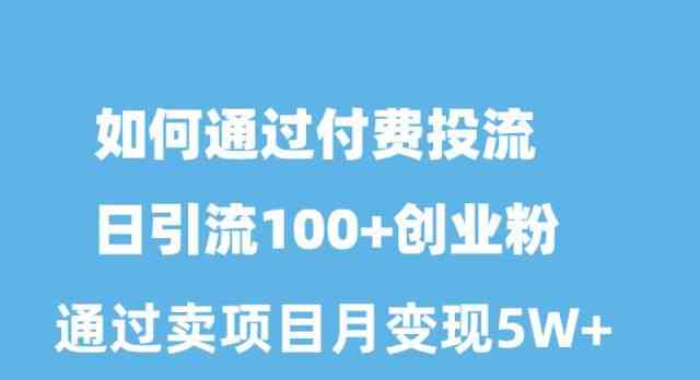 （10189期）如何通过付费投流日引流100+创业粉月变现5W+-117资源网