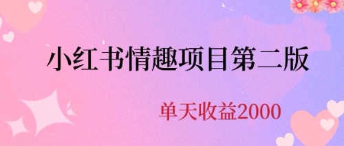 最近爆火小红书情趣项目第二版，每天2000+-117资源网