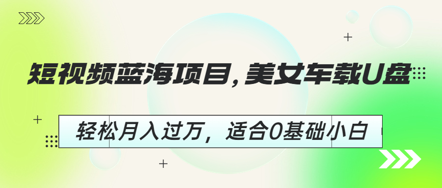 短视频蓝海项目，美女车载U盘，轻松月入过万，适合0基础小白-117资源网