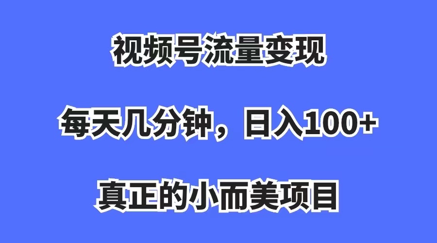 视频号流量变现，每天几分钟，收入100+，真正的小而美项目-117资源网