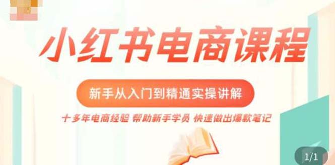 小红书电商新手入门到精通实操课，从入门到精通做爆款笔记，开店运营-117资源网