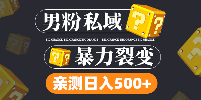 男粉项目，一个作品变现1000+，新渠道新玩法，一部手机实现月入过万-117资源网