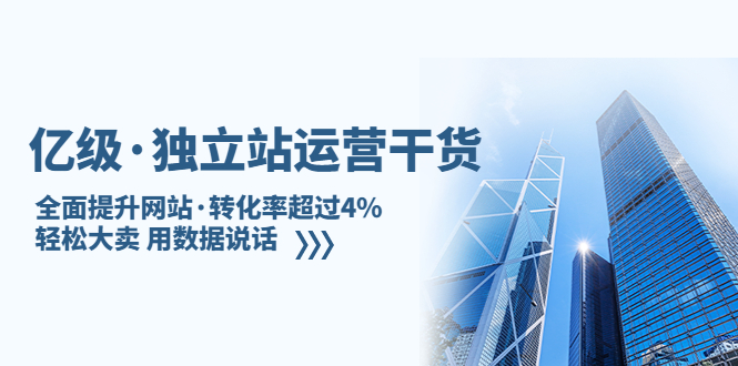 亿级·独立站运营干货：全面提升网站·转化率超过4%，轻松大卖 用数据说话-117资源网