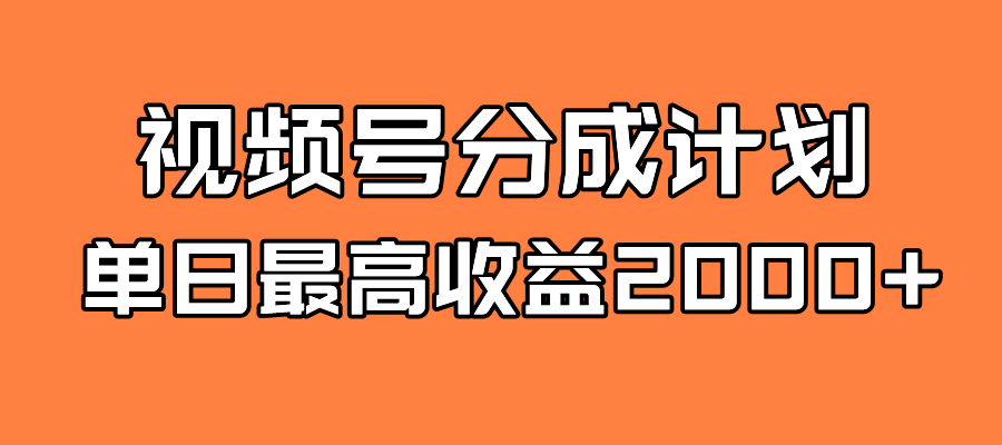 全新蓝海 视频号掘金计划 日入2000+-117资源网