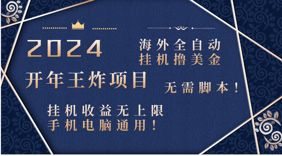 2024海外全自动挂机撸美金项目！手机电脑均可，无需脚本，收益无上限！-117资源网