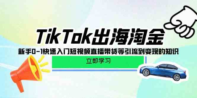 TikTok出海淘金，新手0-1快速入门短视频直播带货等引流到变现的知识-117资源网