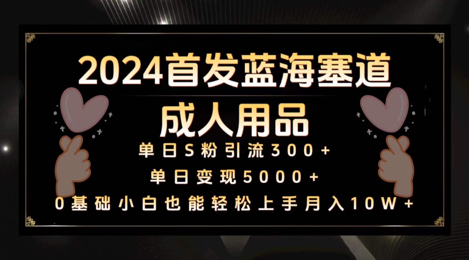 2024首发蓝海塞道成人用品，月入10W+保姆教程-117资源网