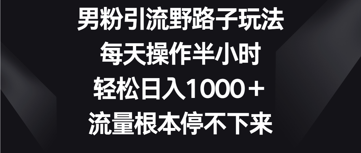 男粉引流野路子玩法，每天操作半小时轻松日入1000＋，流量根本停不下来-117资源网