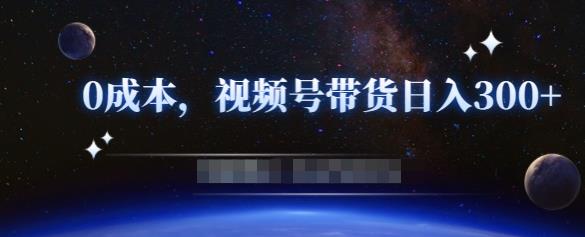 零基础视频号带货赚钱项目，0成本0门槛轻松日入300+【视频教程】￼-117资源网