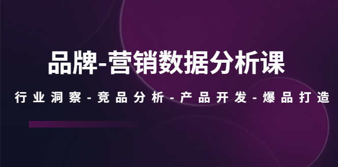 品牌-营销数据分析课，行业洞察-竞品分析-产品开发-爆品打造-117资源网