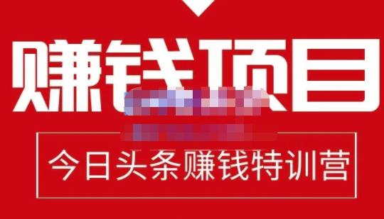 懒人领域·今日头条项目玩法，头条中视频项目，单号收益在50—500可批量￼-117资源网