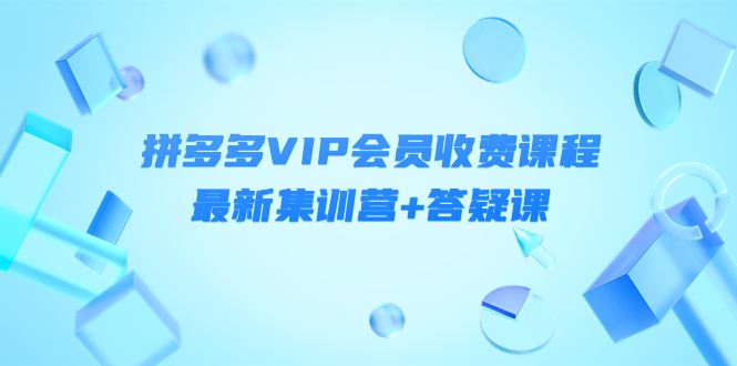 某社群·拼多多VIP会员收费课程，最新集训营+答疑课-价值3299元￼-117资源网