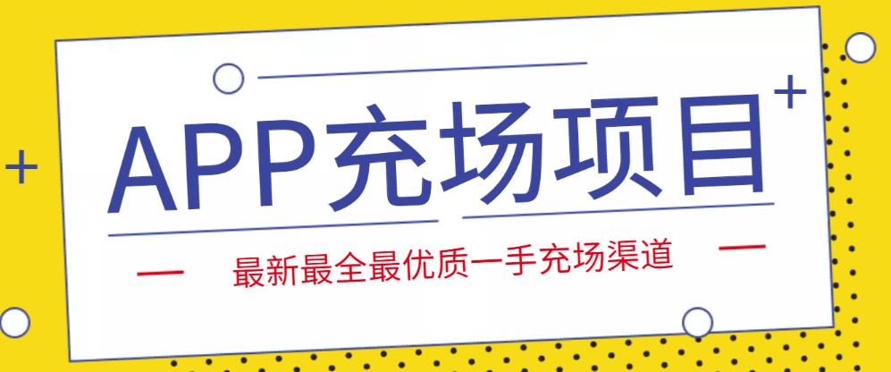 外面收费9800的APP充场项目，实操一天收入800+个人和工作室都可以做-117资源网