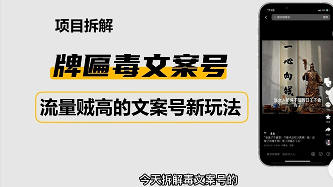 2023抖音快手毒文案新玩法，牌匾文案号，起号快易变现-117资源网