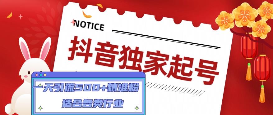 抖音独家起号，一天引流500+精准粉，适合各类行业（9节视频课）-117资源网