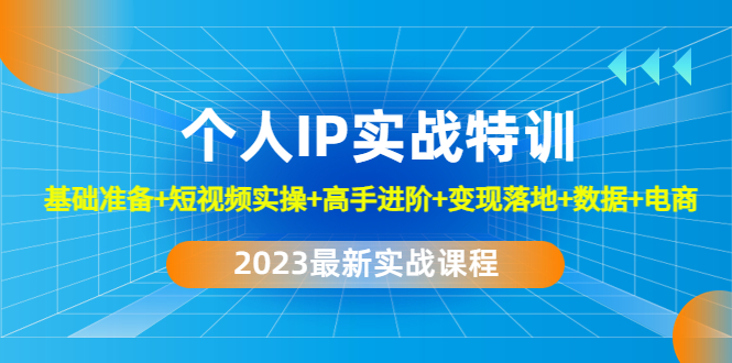 2023个人IP实战特训：基础准备+短视频实操+高手进阶+变现落地+数据+电商-117资源网