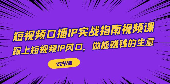 短视频口播IP实战指南视频课，踩上短视频IP风口，做能赚钱的生意（22节课）-117资源网