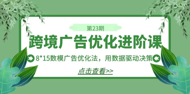 跨境广告·优化进阶课·第23期，8*15数模广告优化法，用数据驱动决策-117资源网