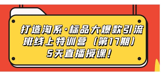 打造淘系·标品大爆款引流班线上特训营（第17期）5天直播授课！-117资源网