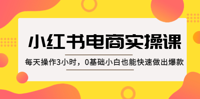 小红书·电商实操课：每天操作3小时，0基础小白也能快速做出爆款！-117资源网