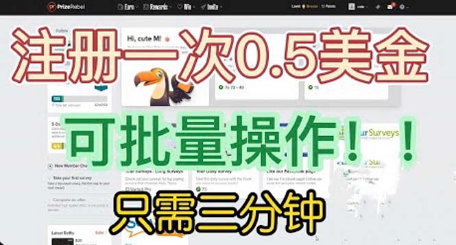 国外项目注册一次0.5美金 只需三分钟无脑操作 可批量放大 小白工作室福利-117资源网