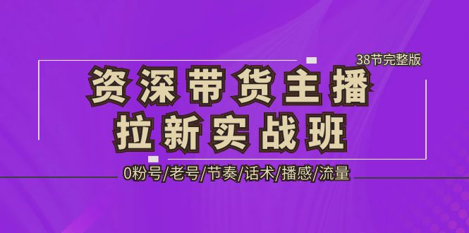 资深·带货主播拉新实战班，0粉号/老号/节奏/话术/播感/流量-38节完整版-117资源网