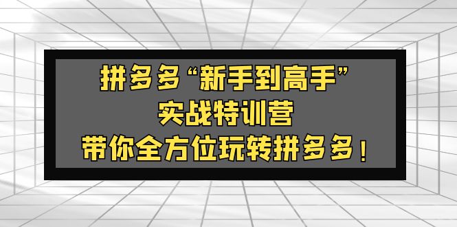 拼多多“新手到高手”实战特训营：带你全方位玩转拼多多！-117资源网