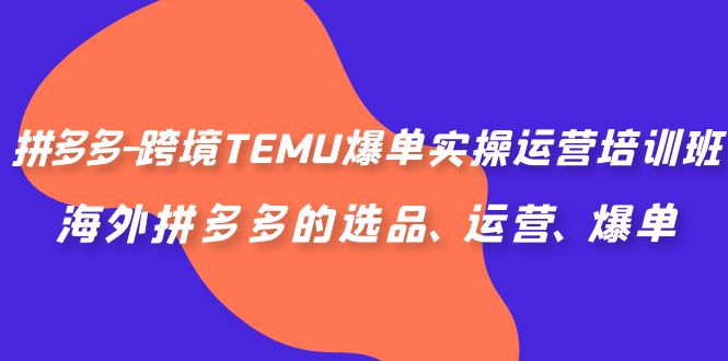 拼多多-跨境TEMU爆单实操运营培训班，海外拼多多的选品、运营、爆单-117资源网