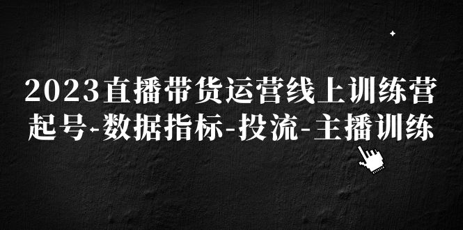 2023直播带货运营线上训练营，起号-数据指标-投流-主播训练-117资源网