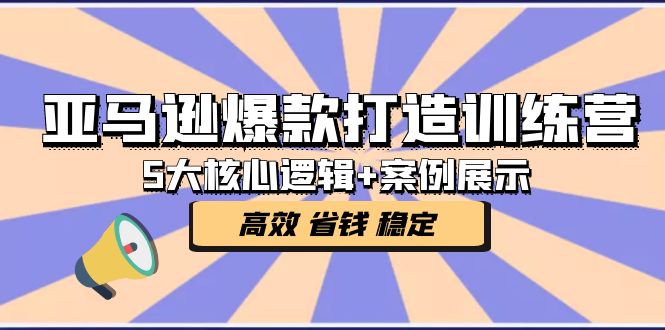 亚马逊爆款打造训练营：5大核心逻辑+案例展示 打造爆款链接 高效 省钱 稳定-117资源网