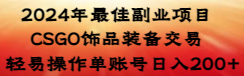 2024年最佳副业项目 CSGO饰品装备交易 轻易操作单账号日入200+-117资源网