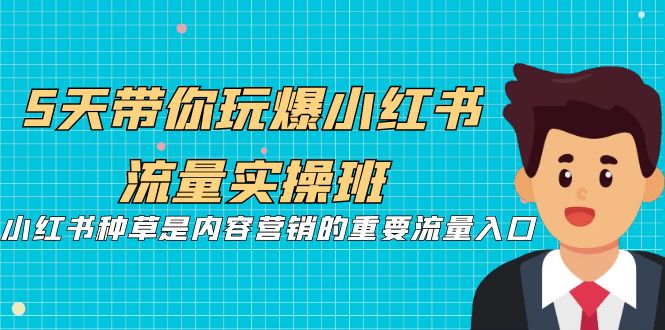 5天带你玩爆小红书流量实操班，小红书种草是内容营销的重要流量入口-117资源网