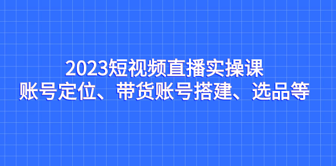 2023短视频直播实操课，账号定位、带货账号搭建、选品等-117资源网