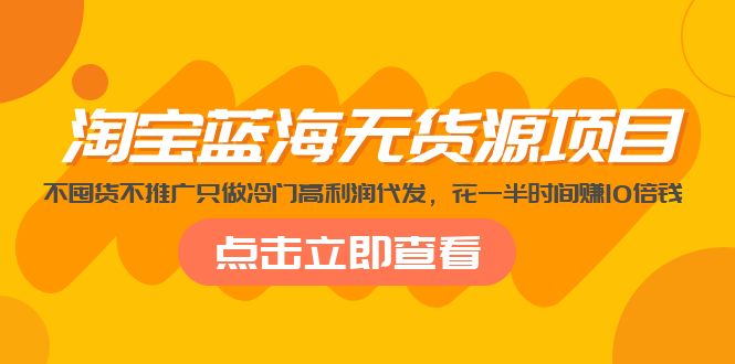 淘宝蓝海无货源项目，不囤货不推广只做冷门高利润代发，花一半时间赚10倍钱-117资源网