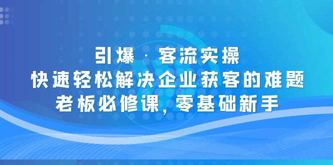 引爆·客流实操：快速轻松解决企业获客的难题，老板必修课，零基础新手-117资源网