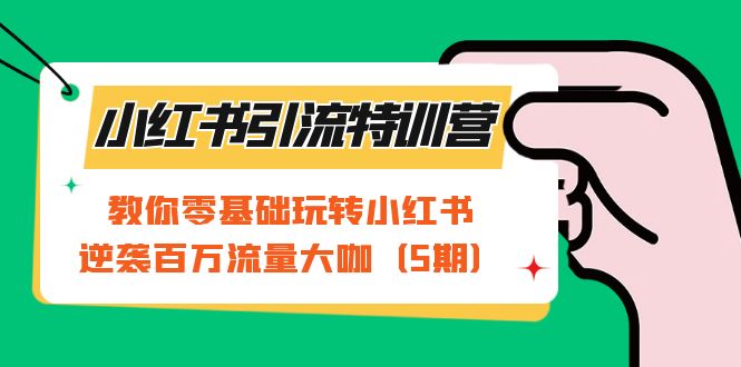 小红书引流特训营-第5期：教你零基础玩转小红书，逆袭百万流量大咖-117资源网