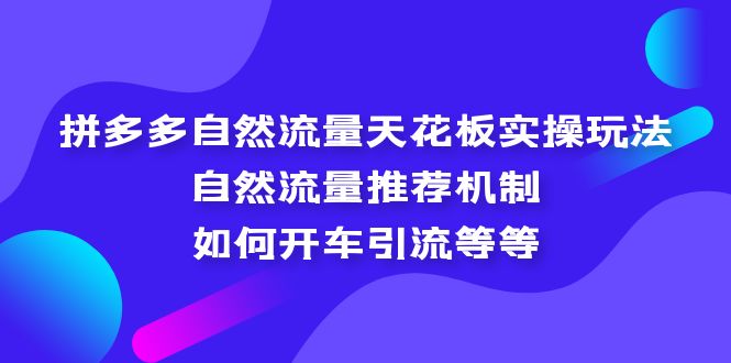 拼多多自然流量天花板实操玩法：自然流量推荐机制，如何开车引流等等-117资源网