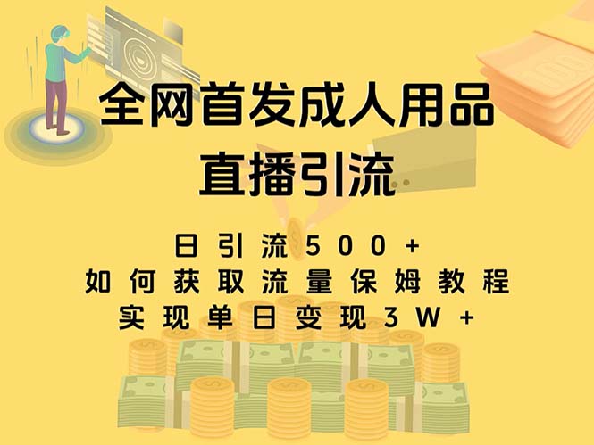 最新全网独创首发，成人用品直播引流获客暴力玩法，单日变现3w保姆级教程-117资源网