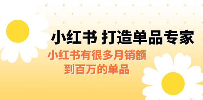 某公众号付费文章《小红书 打造单品专家》小红书有很多月销额到百万的单品-117资源网