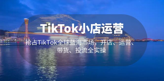 TikTok小店运营 抢占TikTok全球蓝海市场，开店、运营、带货、投流全实操-117资源网