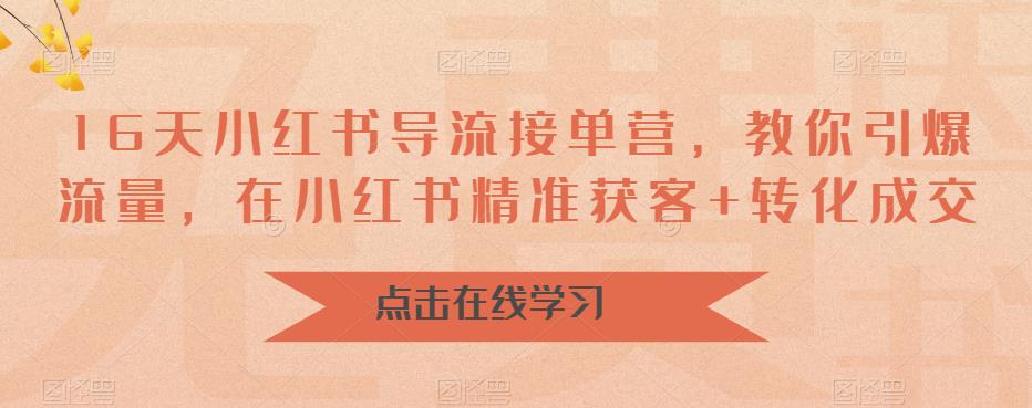 16天-小红书 导流接单营，教你引爆流量，在小红书精准获客+转化成交-117资源网