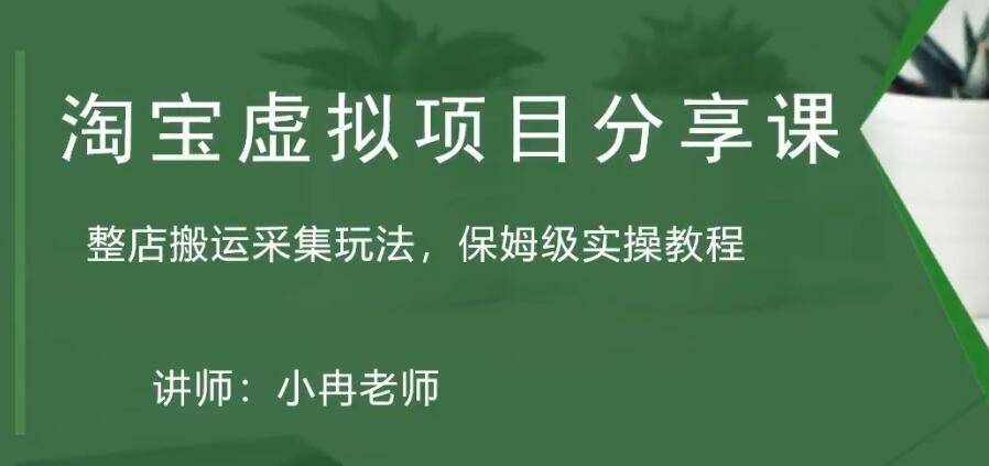 淘宝虚拟整店搬运采集玩法分享课：整店搬运采集玩法，保姆级实操教程-117资源网