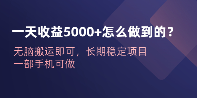 一天收益5000+怎么做到的？无脑搬运即可，长期稳定项目，一部手机可做-117资源网