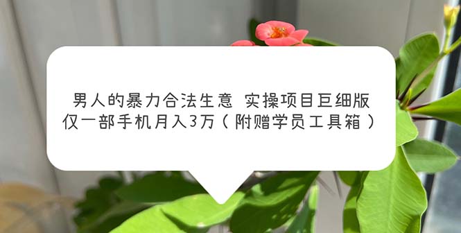 男人的暴力合法生意实操项目巨细版：仅一部手机月入3w（附赠学员工具箱）-117资源网